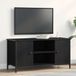 vidaXL TV-kast 100 x 40 x 50 cm zwart eiken bewerkt hout