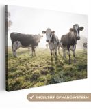 Canvas Tableau Vaches - 160x120 cm - Décoration murale