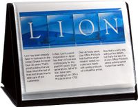 Lion Flip-N-Tell Display Book-N-ezel, Letter, 20-Pocket, Horizontaal, 1 Schildersezel Display Boek (39008-H)