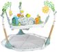 Ingenuity Baby tot kind 6-in-1 mijlpalen center