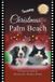 Christmas Workbook Press Christmas in Palm Beach Paperback