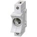 Siemens 5SG1701 Neozed zekeringhouder Afmeting zekering: D02 1-polig 63 A 400 V