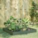 vidaXL Plantenbak verhoogd 100x100x26 cm staal olijfgroen