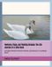 Feathers, Little Wings: Lifelong Journey Rhymes- Feathers, Flaps, and Floating Dreams