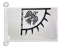 AZ FLAG Bootvlag Viking Raven 45x30 cm