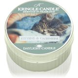 Kringle Candle Kittens & Cashmere Geurkaarsen 42 gr