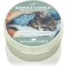 Kringle Candle Kittens & Cashmere Geurkaarsen 42 gr
