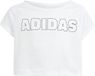 Adidas Cropped T-shirt Wit 11-12 Years Jongens, Meisjes
