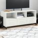 Maison Exclusive - meuble TV, blanc, 100,5 x 39 x 43,5 cm, acier