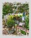 Through My Lens: A Travel Photography Colouring Book - Tokyo in Watercolour, Volume 3