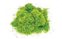Hornby R7179 Statisch Gras - Siergazon 2,5 mm Scenic Materials, Multi