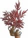 LOBERON Sierbloem set van 3 Trivane roodbruin