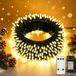Guirlande lumineuse LED, 20 mètres, 200 LED, dimmable, IP65, avec télécommande