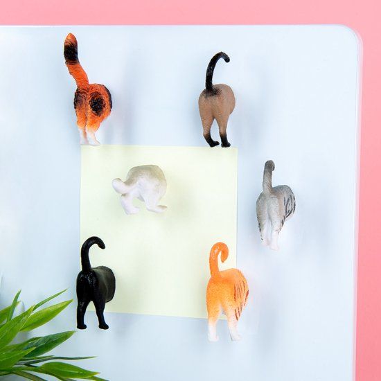 Kikkerland Butt Magnets - Koelkastmagneten - Set van 6 stuks