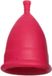 Ginger Organic Coupe menstruelle - TPE - Taille M - Écologique - Confortable - Technologie anti-fuite