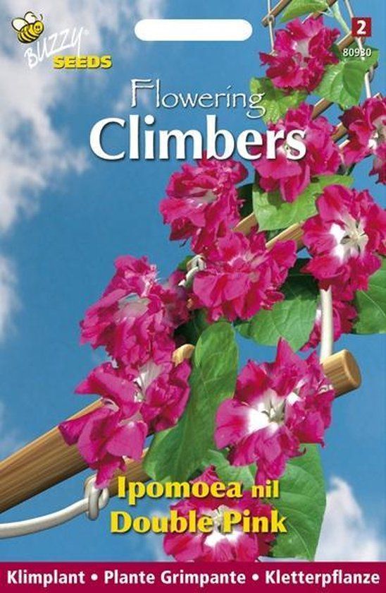 Buzzy Flowering Climbers Ipomoea Bloemzaad - Dubbel Rose