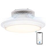Evolar Smart Plafondventilator met Verlichting en WiFi - 71 cm - Stille Plafondlamp met Ventilator - Dimbaar Warm Wit Licht (LED) - EVO-CF185WW