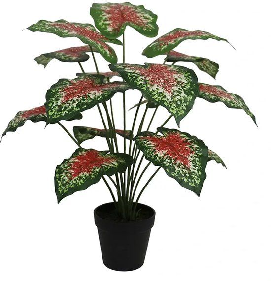 Buitengewoon Boet Kunstplant Caladium rood - 50cm