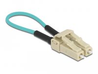 DeLOCK 86931 InfiniBand en Glasvezelkabel 0,06 m LC Aqua-kleur, Beige