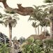 Jungle Léopards Papier Peint Panoramique - 195 cm x 195 cm