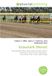 Graustark Pur-sang, Course hippique, Kentucky Derby, John W. Galbreath, Pays fictif, George Barr McCutcheon, Man o' War, Ogden Phipps