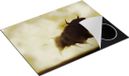 Chefcare Inductie Beschermer Zwarte Stier in het Stoffige Rook - 77x59 cm - Inductie Mat