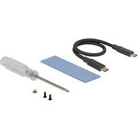 Delock - Storage enclosure - M.2 Card - USB 3.1 (Gen 2) - zwart