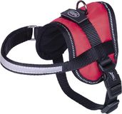 Nobby seguro tuig mini rood S 31-40 cm x 15 mm