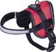 Nobby seguro tuig mini rood S 31-40 cm x 15 mm