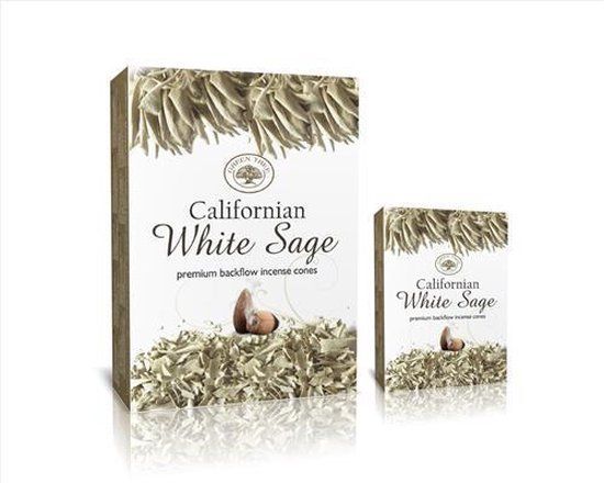 Green Tree Californian White Sage Backflow Incense Cones - 12 Boxes