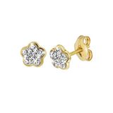 Lucardi Meisjes Oorknop - Ster - Kristal - Cadeau - 14 Karaat Goud - Geelgoud