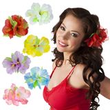 Boland Hawaii bloem - 10x - haarclip - tropisch thema - verkleden