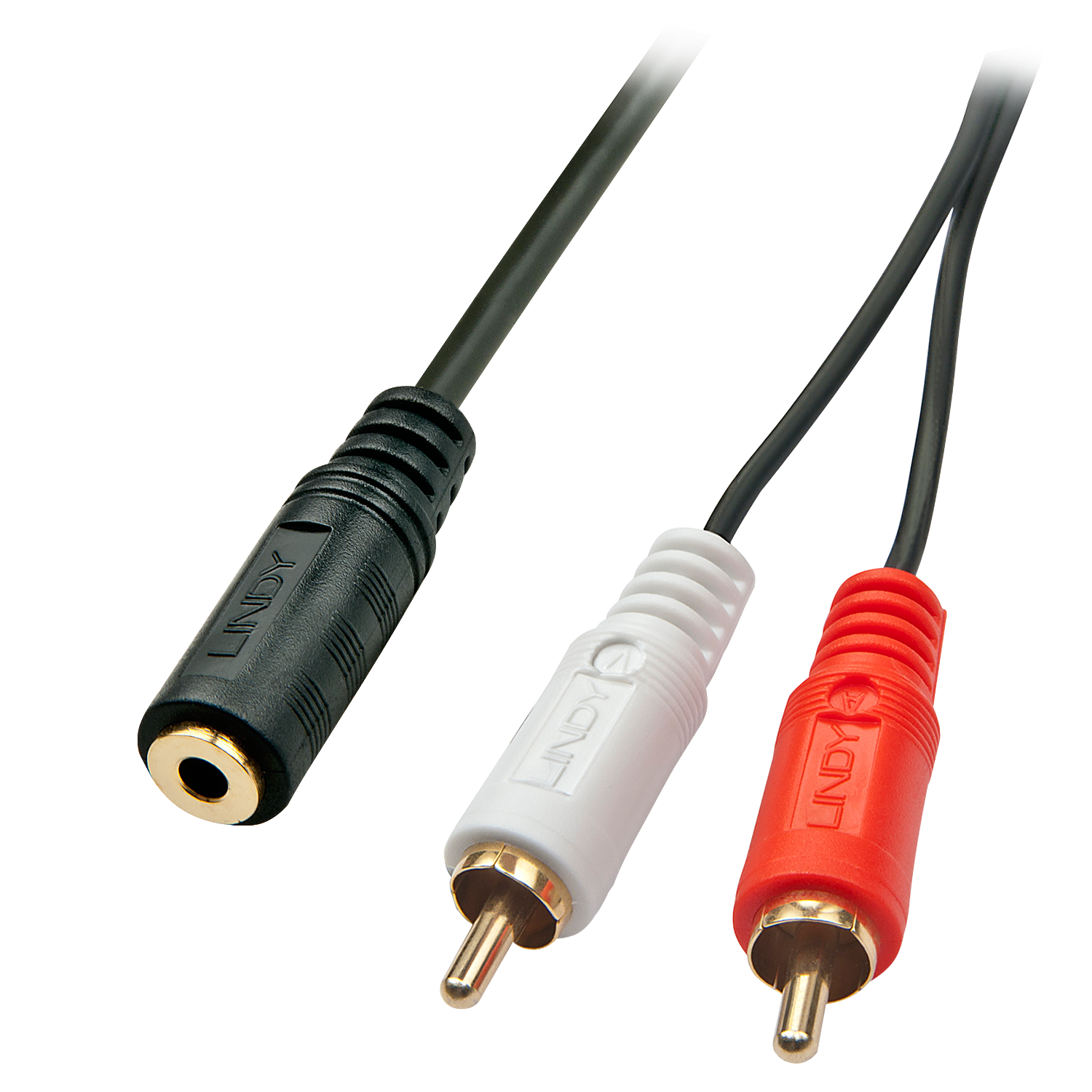 LINDY 35677 - Audio kabel - 0,25 m - Zwart, wit, rood