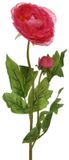 Basic Kunstbloem Ranonkel 57 cm Rood