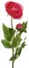 Basic Kunstbloem Ranonkel 57 cm Rood