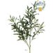 Branche d'olivier artificielle, grande taille, H 101 cm - Best