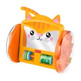 Fisher-Price FP Pets Rollende Kittenspiegel - Activiteitenspeeltje
