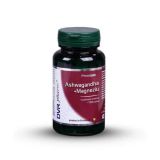 DVR Pharm Ashwagandha + Magnesium, 60 gélules