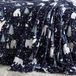 Fusion - Marineblauwe kerstdeken (120 x 150 cm) - Winter Wonderland deken - Arctische dier ijsbeer fleece plaid - Kerst fleece deken - superzacht en gezellig fleece - Snuggy