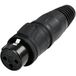 Rean AV RCX3F-Z-001-1 XLR-connector Bus, droit Nombre de pôles : 3 1 pièce(s)