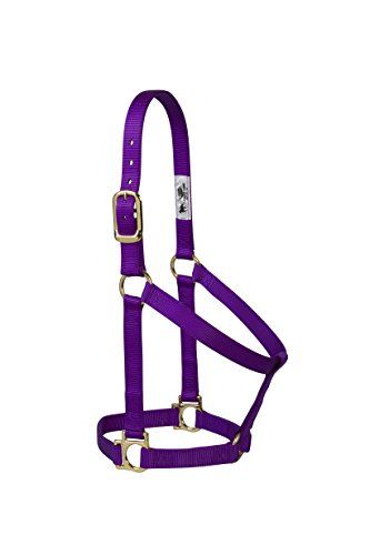 Weaver Leather Halster - Turquoise - 25 mm - Klein Paard