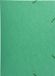 Exacompta 5x Elastomap met 3 kleppen in glanskarton 600gm2 - A3 - Groen