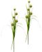 Flair Flower Alliumgras x 5, set van 2, polyester