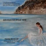 Les Books on Demand Les fleuves d'eau vive Paperback