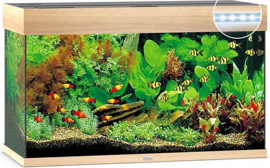 Juwel Rio 125 LED Aquarium - Licht Hout - 125L