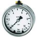 RIEGLER 134040-4091/1 manometer, CrNi-staal, G 1/2 achter excentr., 0-2,5 bar, Ø 100, 1 st.