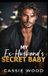 My Bol My Ex-Husband's Secret Baby Paperback
