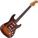 Fender Custom Shop Master Built by Greg Fessler 60s Strat Relic Chocolate 3TSB