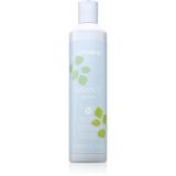 Echosline Balance Vegan Cleansing Shampoo Anti-Dandruff 300ml