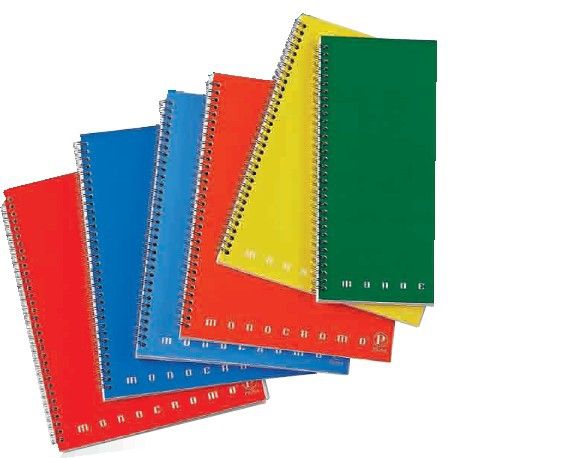 Pigna Monocromo Maxi Schrijfblokken & schriften Multi 29,70 cm
